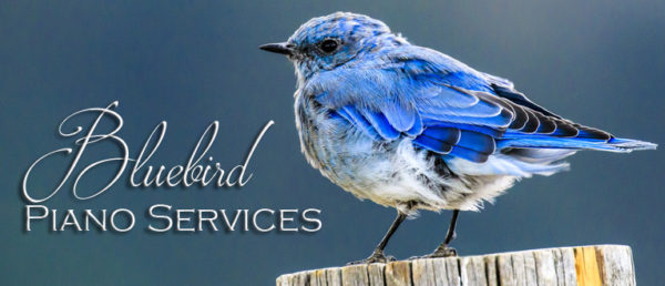 Bluebird Piano Services logo